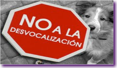 Captura de pantalla 2012-11-21 a la(s) 14.35.49