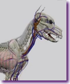 Captura de pantalla 2012-11-21 a la(s) 15.21.58