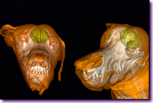 Captura de pantalla 2013-02-25 a la(s) 10.31.04