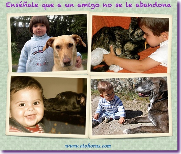Ens&eacute;&ntilde;ale que a un amigo no se le abandona