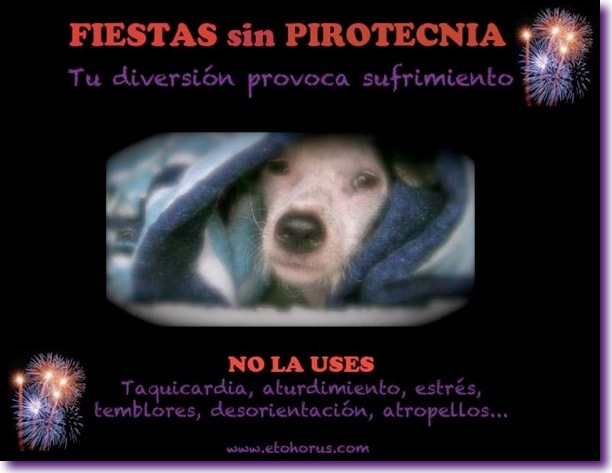 No al uso de pirotecnia