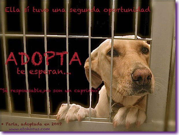 S&eacute; responsable, no son un capricho