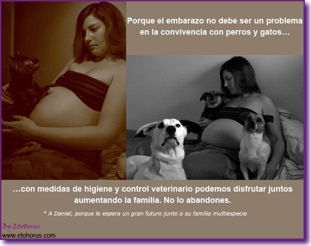 Familias Multiespecie