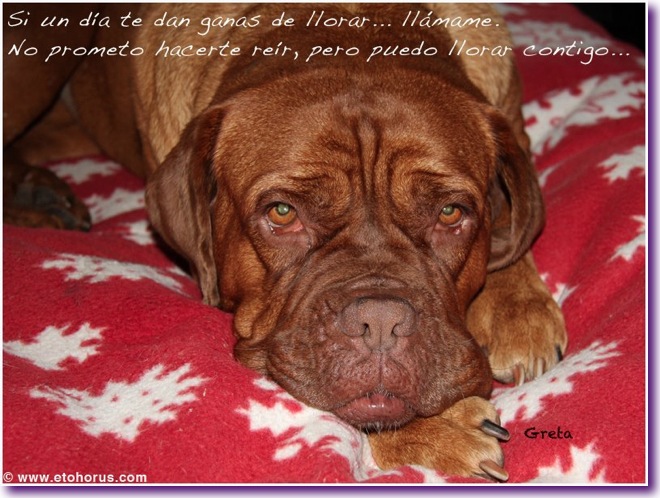 391353_10151295606053677_1210734239_n