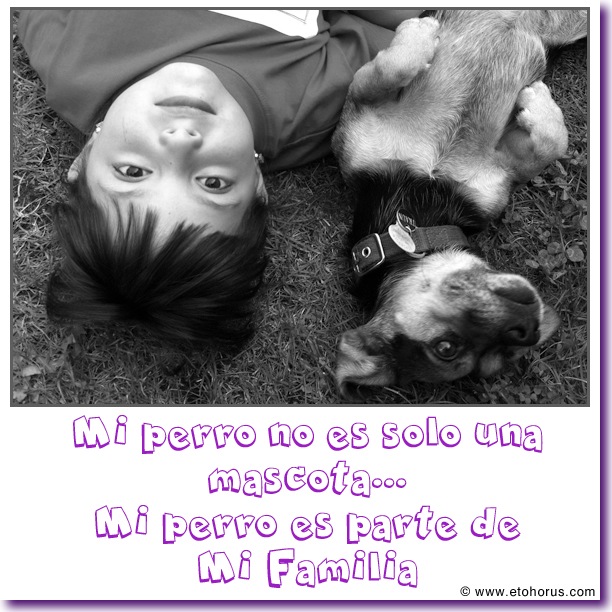 perro parte familia