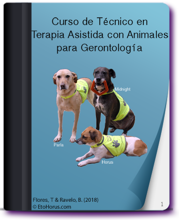 portada taa geront