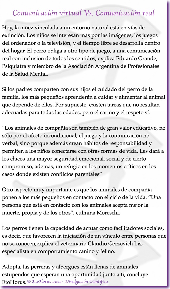 8-comunicacion