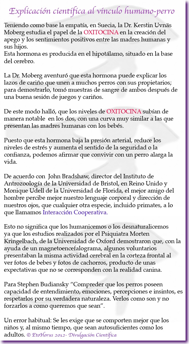 3-explicacionvinculo