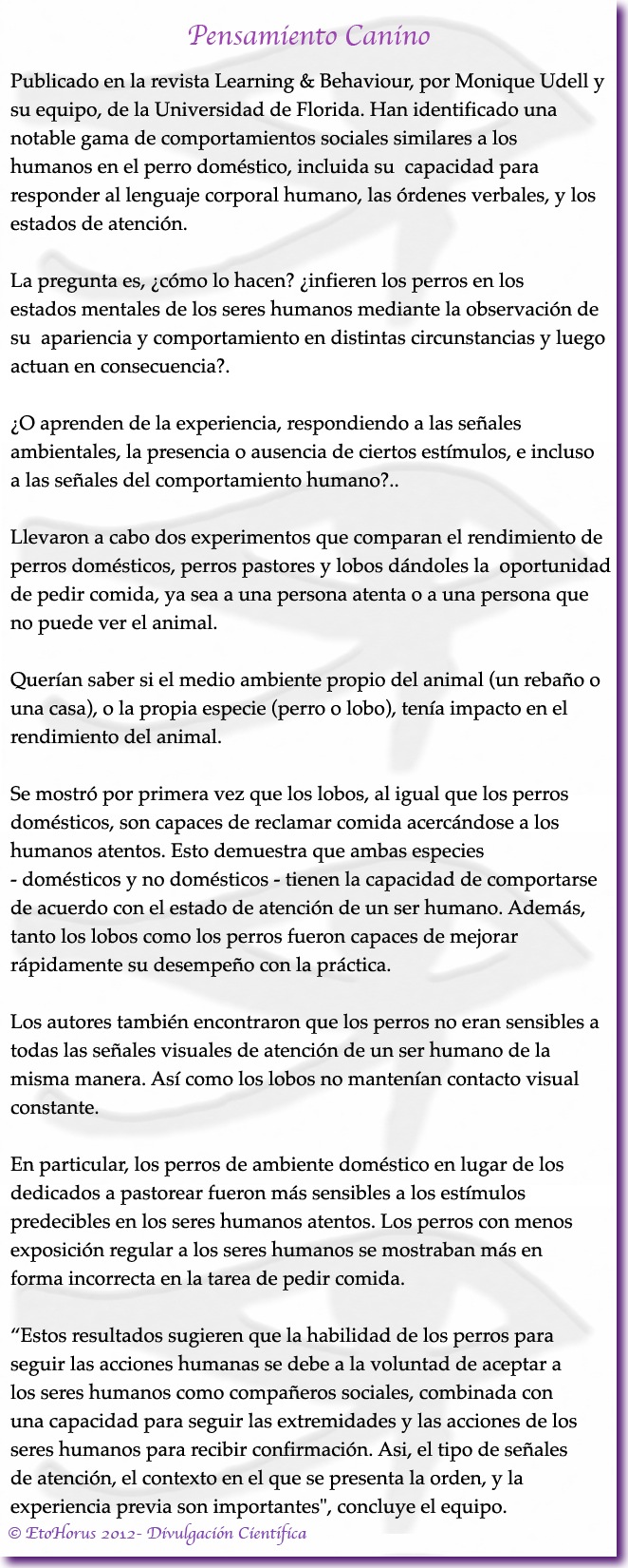 5-pensamientocanino