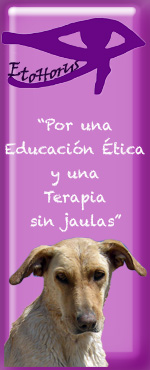 barra lateral parla7