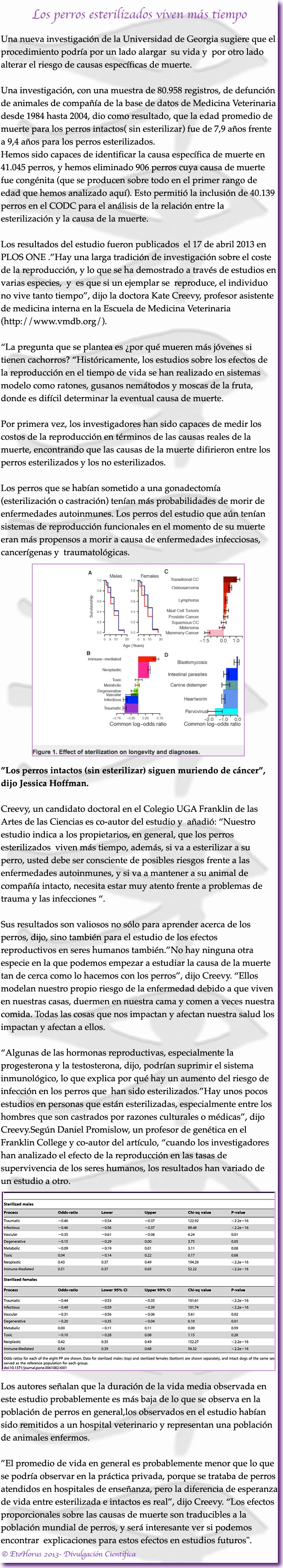 perros esterilizados viven mas
