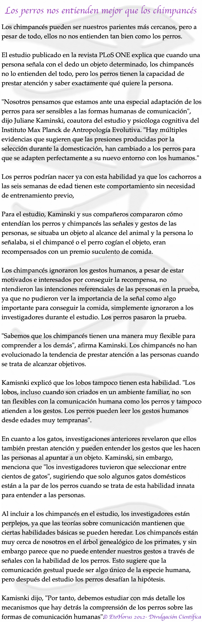 12-perros chimpances