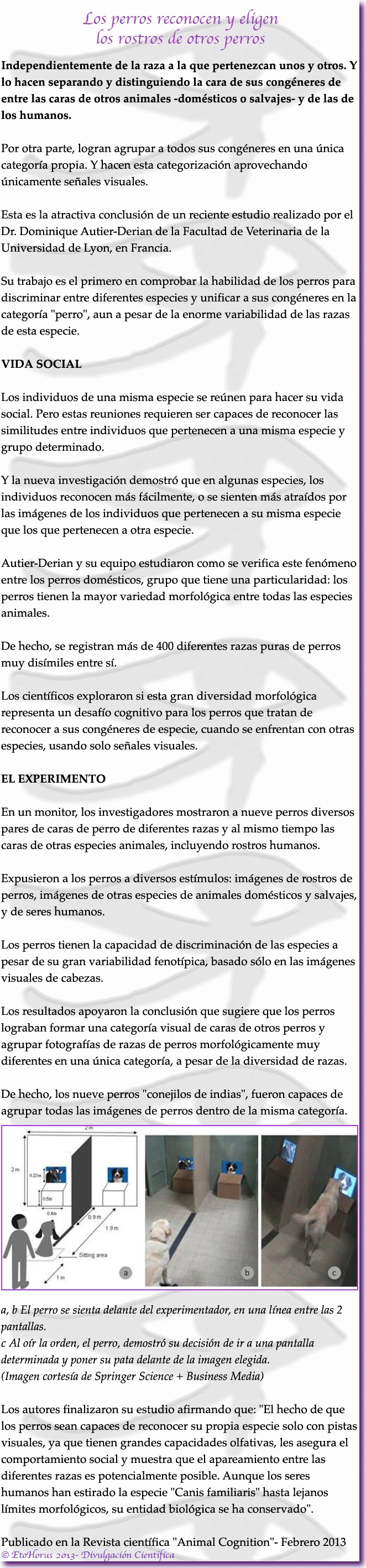 20-perros reconocen rostros otros perros