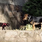 3752013359_8f33645145