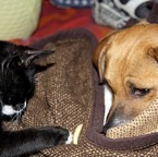 3752013501_1da87df37b