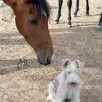 3752037643_f44ae4bfde