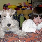 3752793634_29b3af189d