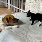 3752806024_79713e766a