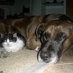 3752806156_0341a188bf