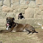 3752806376_bd8876df1d