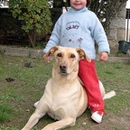 3761609225_7713e692a2