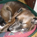 3761636885_515fed3843