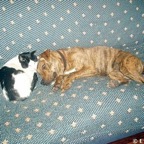 3761637095_de5f9f75e2