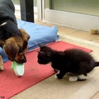 3761637967_3a724b97af