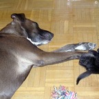 3761639333_5270e10584