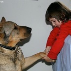 3762411294_10357b1ec8