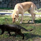 3762437938_06bbb8536b