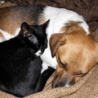 3762438850_4758efa24b