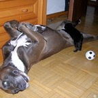 3762440016_0f7e0bc0d1