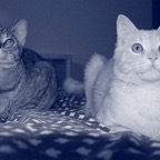 184714_1812520722706_1530688020_1863916_4732626_n