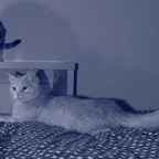 184794_1812520602703_1530688020_1863915_3686430_n