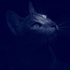 185790_1812520882710_1530688020_1863918_2130416_n