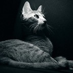 188386_1812521282720_1530688020_1863921_3912463_n