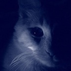 189058_1812521162717_1530688020_1863920_5006989_n