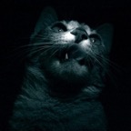 189514_1812521042714_1530688020_1863919_3307746_n