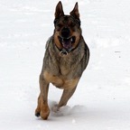 3751911785_4c88c9db45