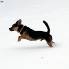 3751911929_ee843cb0a6