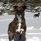 3752703826_0008eae681