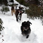 3752704194_e4a01b6073