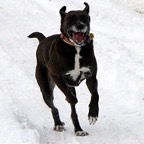 3752704632_4c01e8b6ae