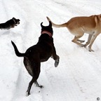 3752704796_e07e93150f