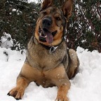 3752705052_8154686bd1