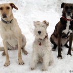 3761578693_29776df7b8