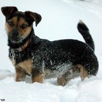 3762379204_9c71e0d50c