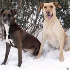 3762379442_85be07d8de