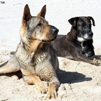 Closer y Midnight 01